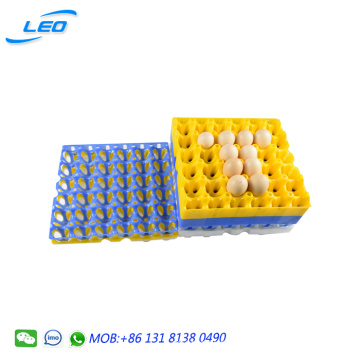 best quality chicken egg tray PP plastic egg tray for 30 chicken eggs